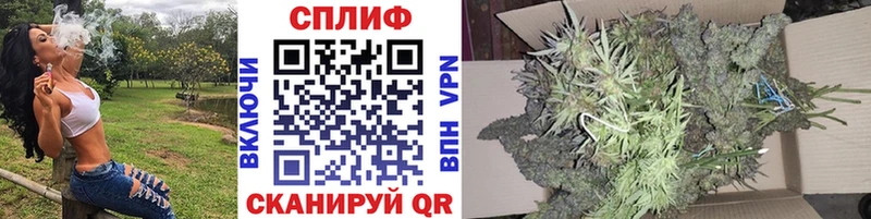 Виды наркотиков купить Олёкминск А ПВП  Псилоцибиновые грибы  Амфетамин  Конопля  ГАШ 