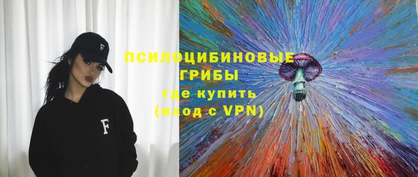 не бодяженный Арсеньев