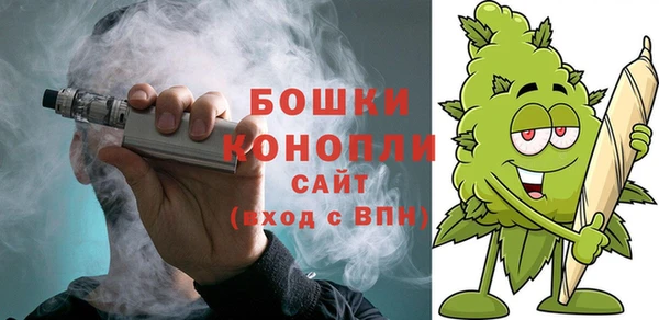 молекула духа Осинники