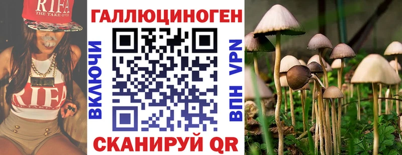 Псилоцибиновые грибы GOLDEN TEACHER  Олёкминск 
