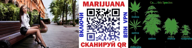 Шишки марихуана сатива  сколько стоит  Олёкминск 